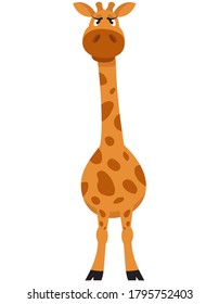 Standing female giraffe front view. African animal in cartoon style.