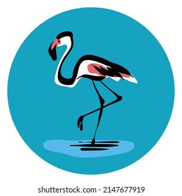 Standing Flamingo bird vector illustration line art