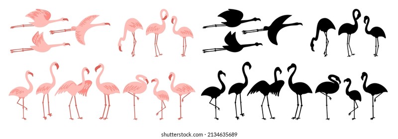 Standing and flying flamingo bird vector. Object and shadow silhouette illustration clipart.