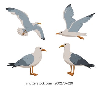 Gaviotas en pie y volando. Gaviota gris y blanco en diferentes poses aisladas de fondo blanco. Icono de dibujos animados de aves marinas conjunto de ilustración vectorial.