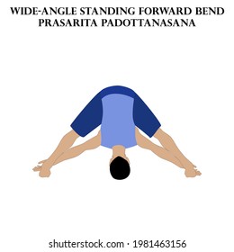 Standing forward bend yoga workout. Prasarita Padottanasana. Man doing yoga illustration on the white background. Vector illustration