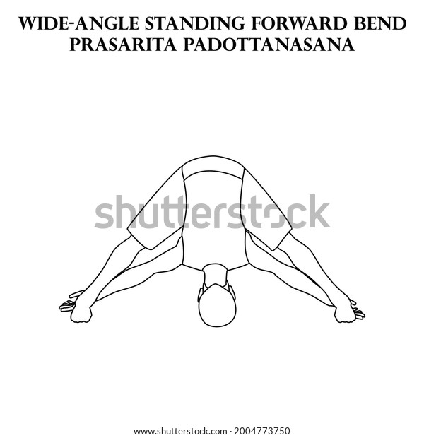 Standing Forward Bend Yoga Workout Prasarita Stock Vector Royalty Free