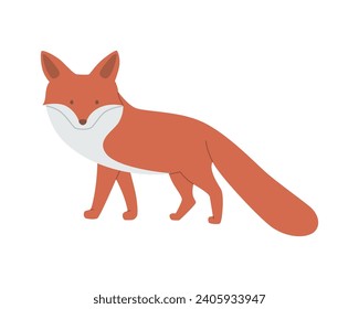 Standing fox isolated on a white background. Orange fox, side view
