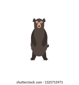 standing funny bear cartoon icon on a white background