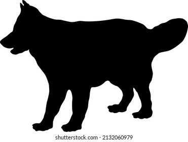 Standing german shepherd dog puppy. Black dog silhouette. Pet animals. Isolated on a white background. Vector illustration.