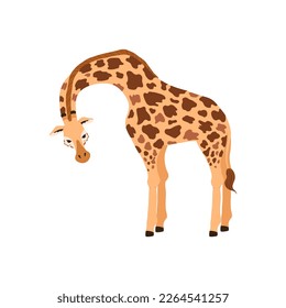 Standing giraffe african animal cartoon character, flat vector illustration isolated on white background. African giraffe wild animal character for textile prints.