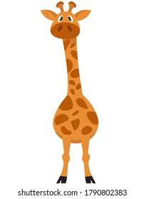 Standing giraffe front view. African animal in cartoon style.