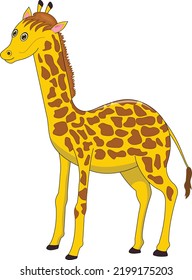 Standing Giraffe Vector Illustration Graphic