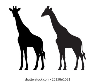 Standing giraffe vector silhouettes isolated on a white background