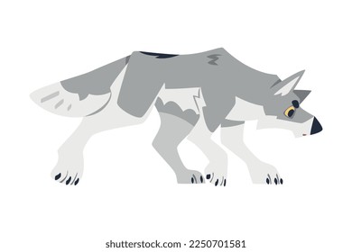 Standing Gray Wolf as Wild Hunting Animal Vector Illustration