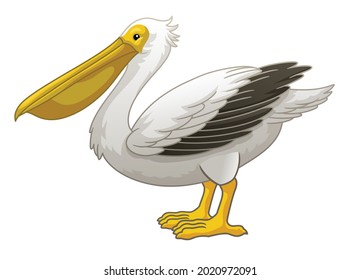 Standing great white. pelican bird cartoon