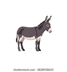 Standing Grey Donkey Vector Illustration Isolated on White Background Side Profile View Farm Animal