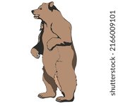 Standing Grizzly Bear Vector Illustration