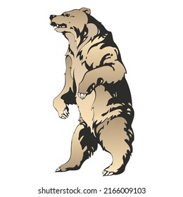 Standing Grizzly Bear Vector Illustration