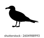 Standing gull silhouette vector flat illustration design.