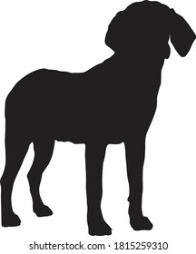 Standing Harrier Dog On A Side View, Silhouette, Found In Map Of United Kingdom