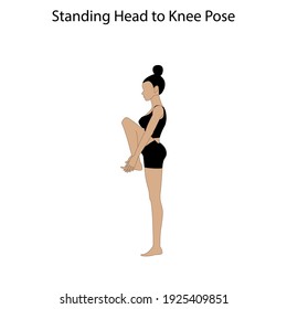 standing head to knee pose yoga workout on the white background. Vector illustration