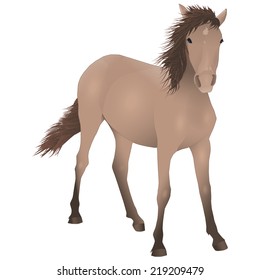 Standing horse