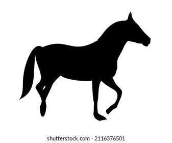 A standing horse is a black silhouette of an animal. The animal raised its front leg.