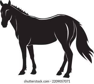 Standing horse black silhouette. Vector illustration.