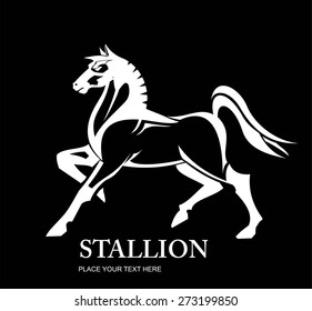 Standing Horse. full body side view of a big horse. bold white horse Isolated on Black background.