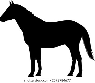 Standing horse silhouette vector illustration