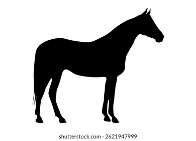 Standing Horse Silhouette Vector Isolated on White