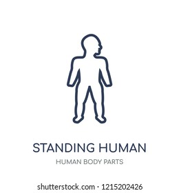 Standing human body icon. Standing human body linear symbol design from Human Body Parts collection.