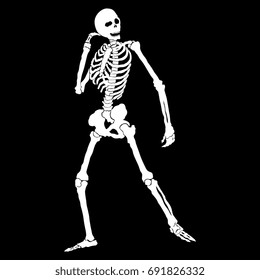 Standing human skeleton in dynamic pose. Isolated white silhouette on black background.