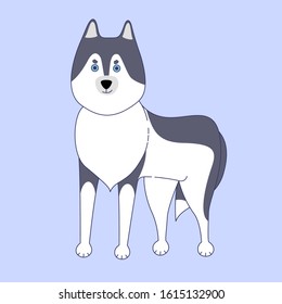 Standing husky dog on blue background. Vector illustration in cute cartoon style