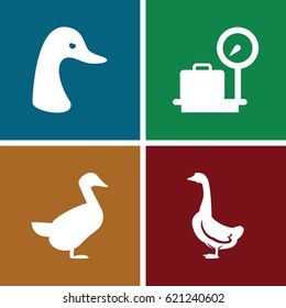 Standing icons set. set of 4 standing filled icons such as goose
