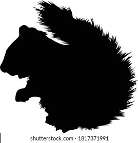 Stehendes indisches Palmquirrel (Funambulus Palmarum) auf einer Seite Silhouette gefunden in Karte von Indien und Sri Lanka. Gut für gedruckte Elemente, Tierbücher und Tierinhalte geeignet