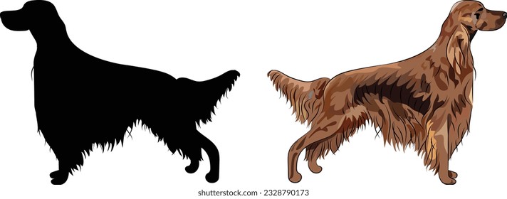 Standing Irish setter dogs. Cute side view pet. Logo design, dog silhouette. Pet character postcard art. Funny dog mascot. Detailed fawn small pet illustration. Setter Outlines, one color dog icon.