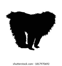 Standing Japanese Macaque (Macaca fuscata) On a Side View Silhouette Found In Map Of Japan. Good To Use For Element Print Book, Animal Book and Animal Content