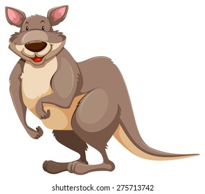 Standing kangaroo on white background