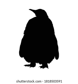 Standing King Penguin (Aptenodytes Patagonicus) On a Front View Silhouette Found In Antartica. Good To Use For Element Print Book, Animal Book and Animal Content