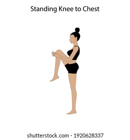 Standing knee to chest pose yoga workout on the white background. Vector illustration