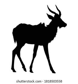 Standing Kudu Antelope (Tragelaphus Strepsiceros) On a Side View Silhouette Found In Southern Africa. Good To Use For Element Print Book, Animal Book and Animal Content