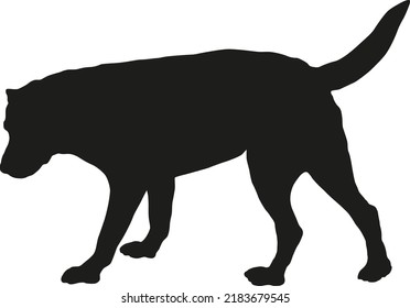 Standing labrador retriever puppy. Black dog silhouette. Pet animals. Isolated on a white background. Vector illustration.