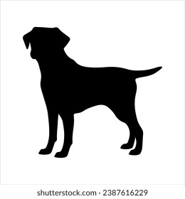 Standing Labrador Retriever vector silhouette