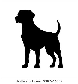 Standing Labrador Retriever vector silhouette