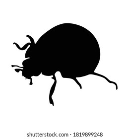 Stehendes Ladybug (Coccinellidae) auf einer Seite Silhouette gefunden in Karte von allen auf der Welt. Gut für gedruckte Elemente, Tierbücher und Tierinhalte geeignet