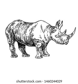 Standing  large rhino. Sketch. Engraving style. Vector illustration.