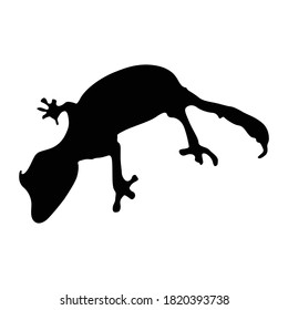 Standing Leaf Tailed Gecko (Uroplatus) On a Side View Silhouette Found In Map Of America. Good To Use For Element Print Book, Animal Book and Animal Content