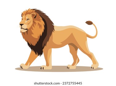 Standing lion isolated on a white background. Lion walking profile, body side view. Vector stock