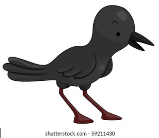 A Standing Little Crow Facing Right - Vector