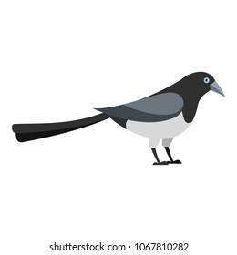 Standing magpie icon. Flat illustration of standing magpie vector icon for web