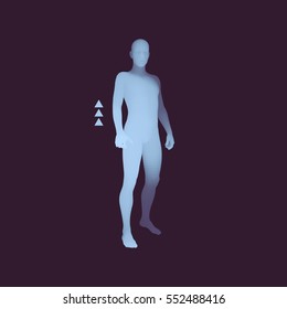Standing Man. 3D Human Body Model. Design Element. Man Stands on his Feet. Vector Illustration. 
