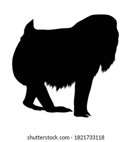 Standing Mandrill (Mandrillus Sphinx) On a Side View Silhouette Found In Map Of Africa. Good To Use For Element Print Book, Animal Book and Animal Content