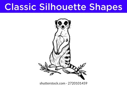 Standing meerkat silhouette Vector white background
